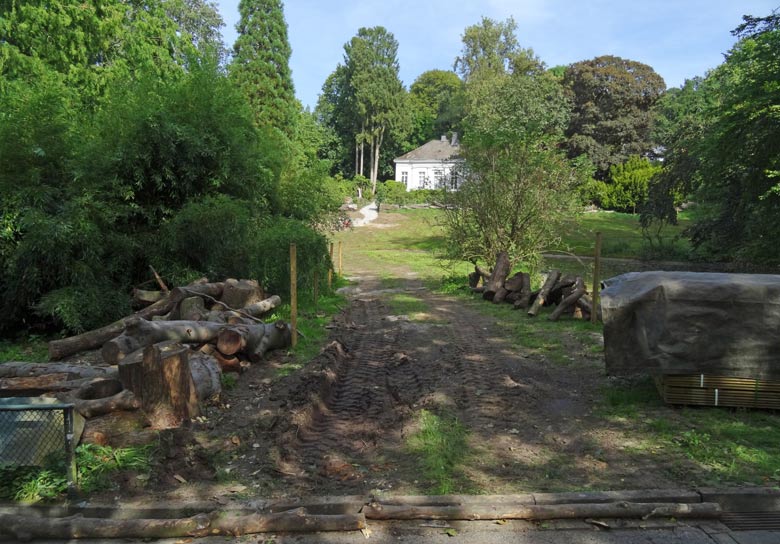 Bauarbeiten für das Fundament für den Unterstand für die Yaks am 2. September 2016 im Zoologischen Garten der Stadt Wuppertal