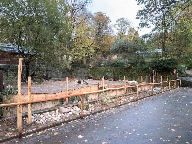 Neue Außenanlage für die Halsbandpekaris am 7. November 2019 am Südamerika-Haus im Zoo Wuppertal