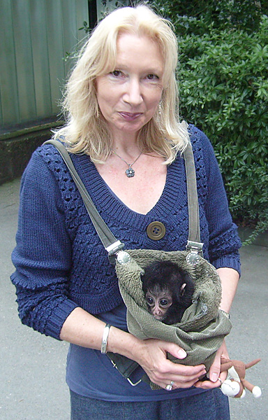 Junger Schwarzer Klammeraffe im Zoologischen Garten Wuppertal im August 2008