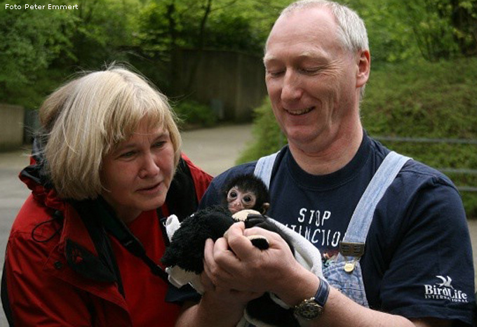 Junger Schwarzer Klammeraffe Julia im Zoo Wuppertal (Foto Peter Emmert)