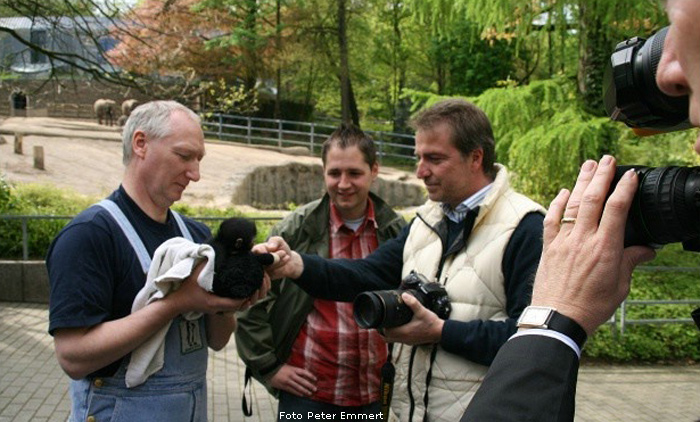 Junger Schwarzer Klammeraffe Julia im Zoologischen Garten Wuppertal (Foto Peter Emmert)