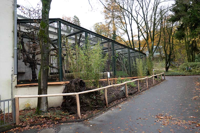 Leere Außenanlage für Rote Varis am Affen-Haus am 16. November 2023 im Zoologischen Garten Wuppertal