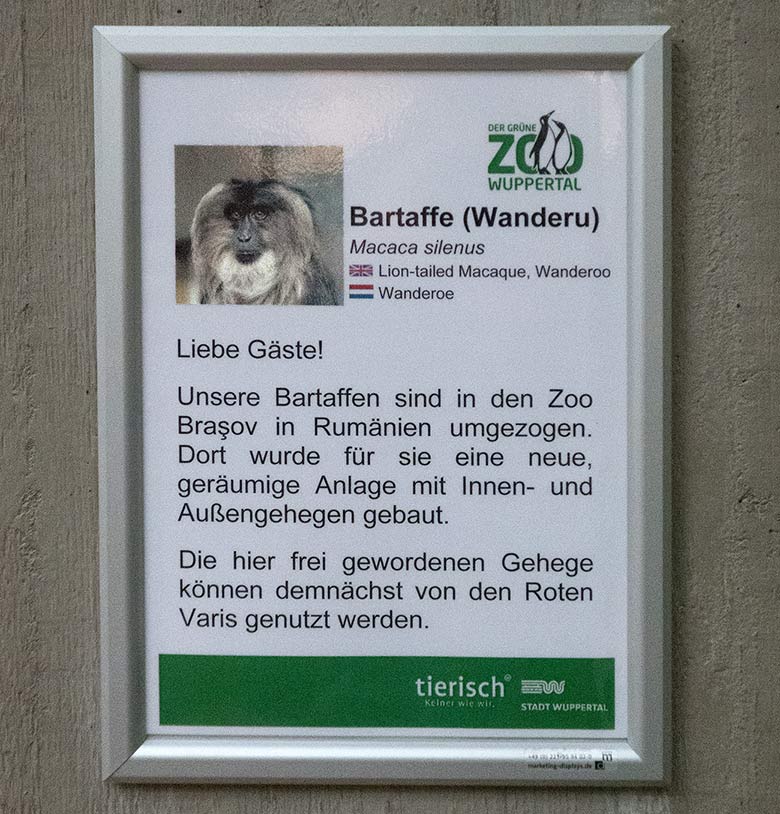 Aushang am 1. November 2018 im Affenhaus im Grünen Zoo Wuppertal zum Umzug der Bartaffen nach Rumänien
