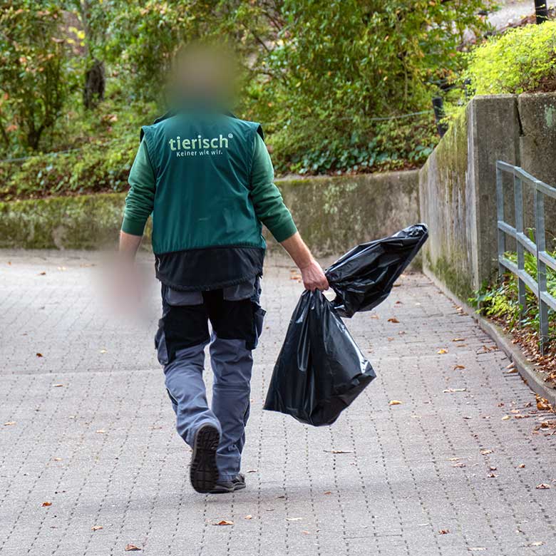 Totes-Drill-Jungtier auf dem Weg zur Veterinär-Medizin am 9. November 2022 im Grünen Zoo Wuppertal