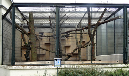 Neugestaltete Außen-Anlage für Goldbauchmangaben am 19. Dezember 2015 am Affenhaus im Zoologischen Garten der Stadt Wuppertal