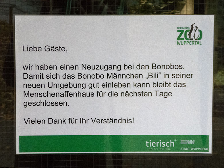 Aushang zum Neuzugang Bonobo Männchen BILI im November 2018 an der Tür  zum Menschenaffenhaus im Grünen Zoo Wuppertal