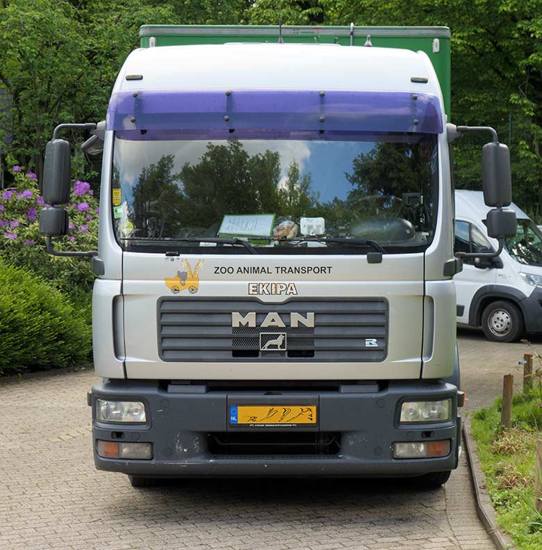 LKW für den Transport des Bonobo-Weibchen EJA mit seinen drei männlichen Jungtieren BAKARI, AYUBU und AZIBO am 28. Mai 2021 vom Grünen Zoo Wuppertal zum Ouwehands Dierenpark Rhenen