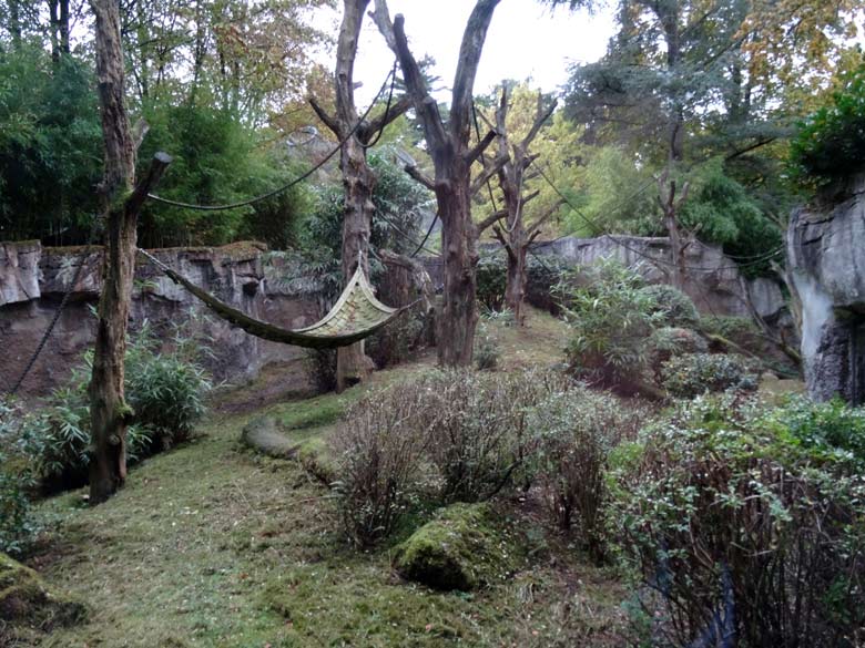 Blick durch die Scheibe neben der Beobachtungshöhle auf die Außenanlage der Orang-Utans am 12. Oktober 2016 im Grünen Zoo Wuppertal