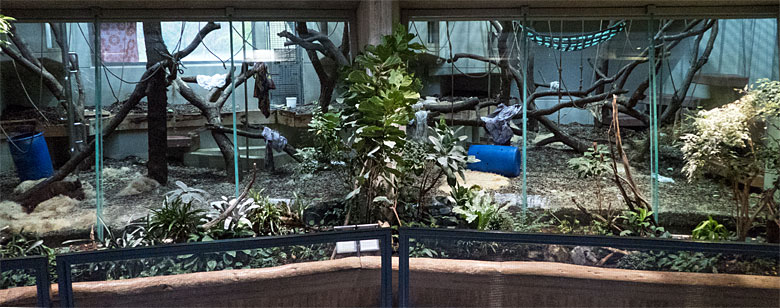 Orang-Utan Innengehege am 17. Dezember 2017 im Menschenaffenhaus im Grünen Zoo Wuppertal