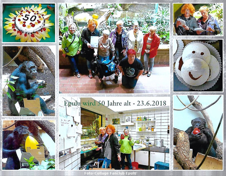 Foto-Collage des Fanclub Epulu zu Epulus 50. Geburtstag am 23. Juni 2018 im Menschenaffenhaus im Grünen Zoo Wuppertal