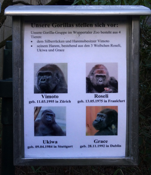 Ausschilderung zur Gorilla-Gruppe an der Außenanlage der Gorillas im Wuppertaler Zoo am 8. Dezember 2015