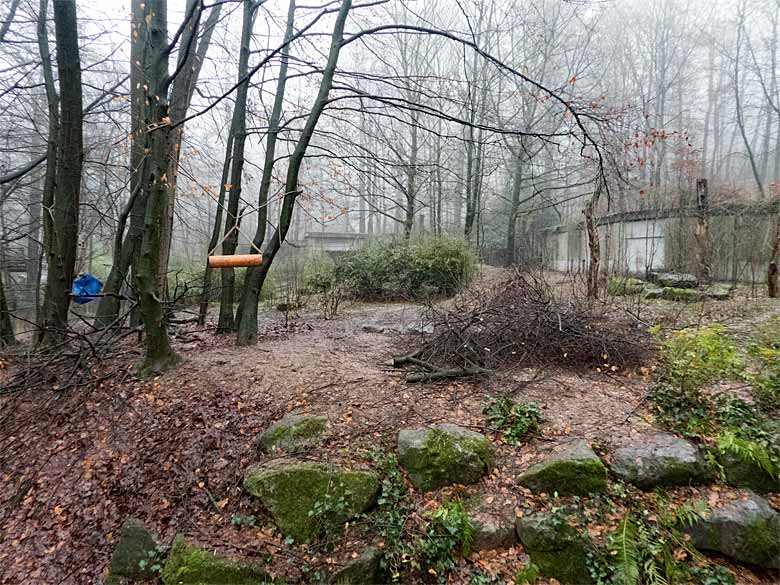 Leere Braunbär-Außenanlage am 17. Dezember 2017 im Zoologischen Garten der Stadt Wuppertal