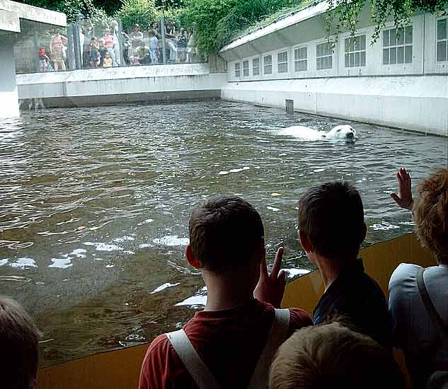 Eisbärin Jerka im Wuppertaler Zoo im Juni 2003