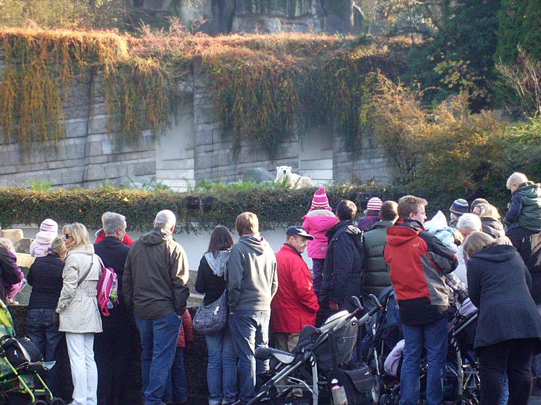 Besucher/innen bei der Fütterung der Seelöwen im Zoologischen Garten Wuppertal am 8. November 2009