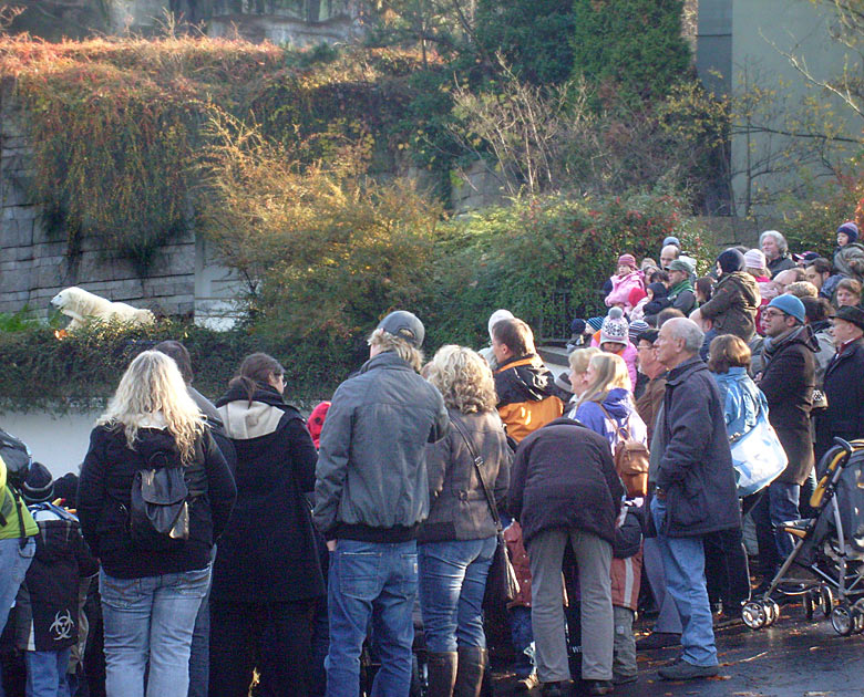 Besucher/innen bei der Fütterung der Seelöwen im Wuppertaler Zoo am 8. November 2009