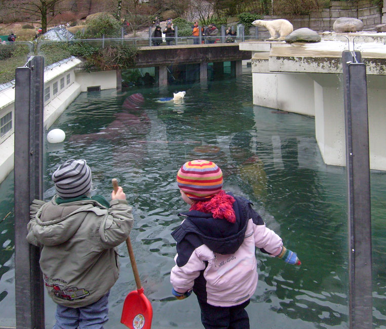 Kids beobachteten Eisbär Lars mit der blauen Tonne im Zoologischen Garten Wuppertal am 29. Dezember 2009