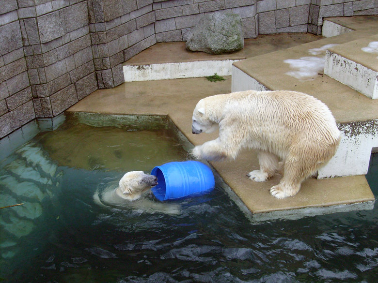 Eisbärin Jerka und Eisbär Lars im Zoologischen Garten Wuppertal am 29. Dezember 2009