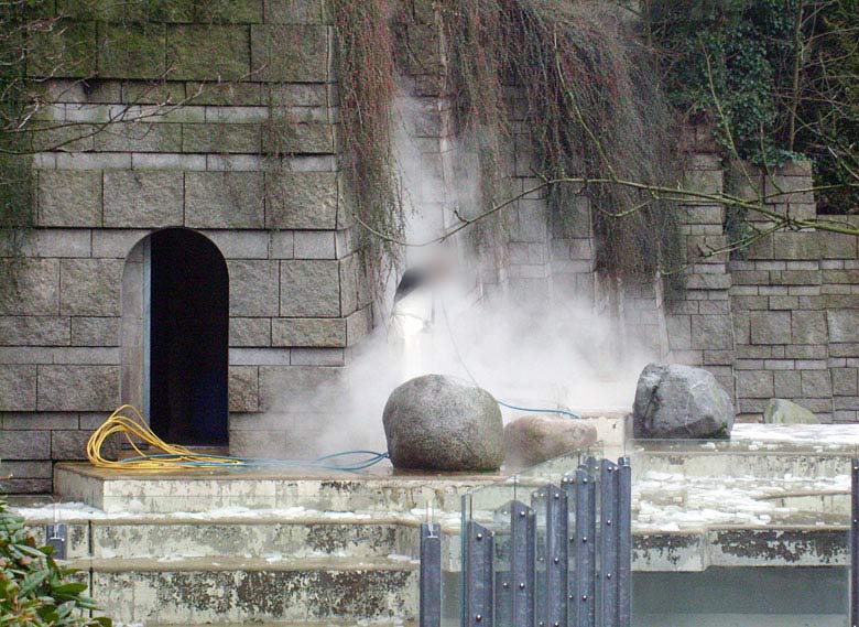 Reinigung der Freianlage für Eisbären im Zoo Wuppertal am 29. Dezember 2009