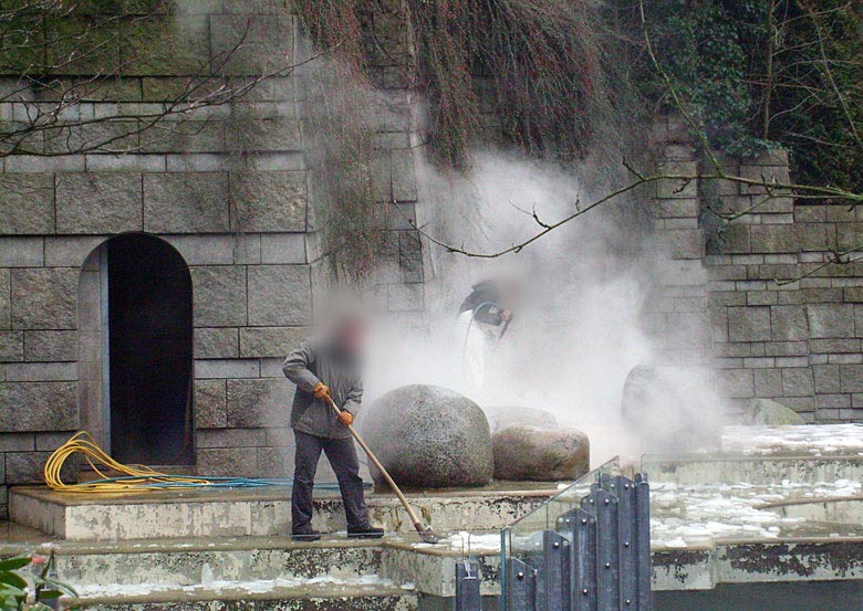 Reinigung der Freianlage für Eisbären im Zoo Wuppertal am 29. Dezember 2009