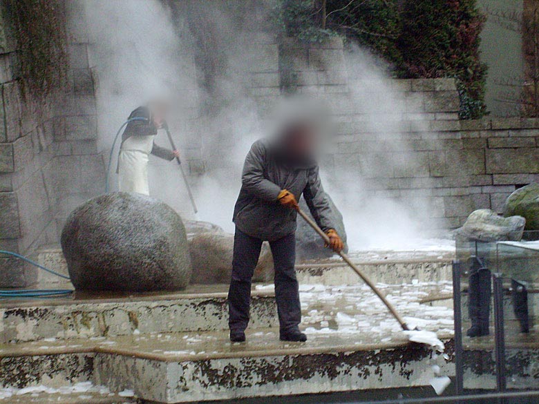 Eisbeseitigung auf der Freianlage für Eisbären im Zoologischen Garten Wuppertal am 29. Dezember 2009