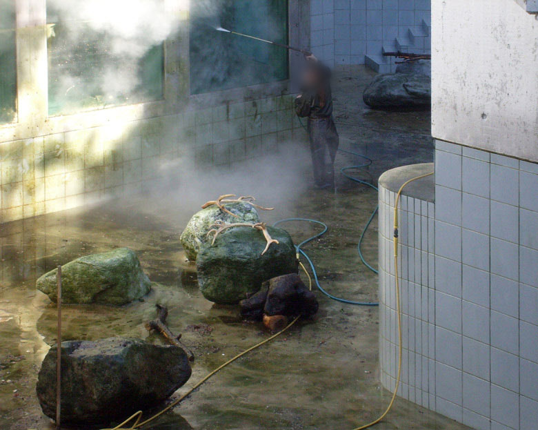 Reinigung der Eisbärenanlage im Zoologischen Garten Wuppertal am 3. März 2010