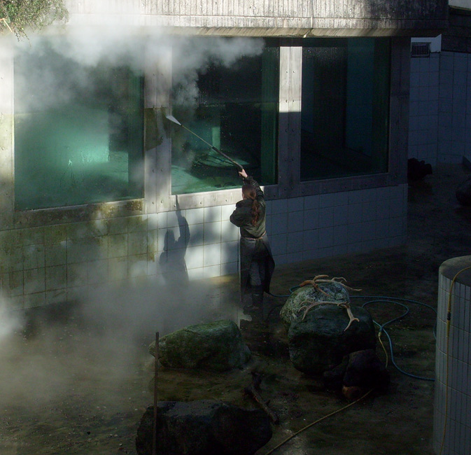 Reinigung der Eisbärenanlage im Zoo Wuppertal am 3. März 2010