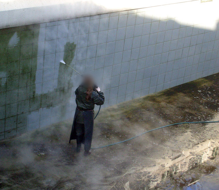 Reinigung der Eisbärenanlage im Zoologischen Garten Wuppertal am 3. März 2010