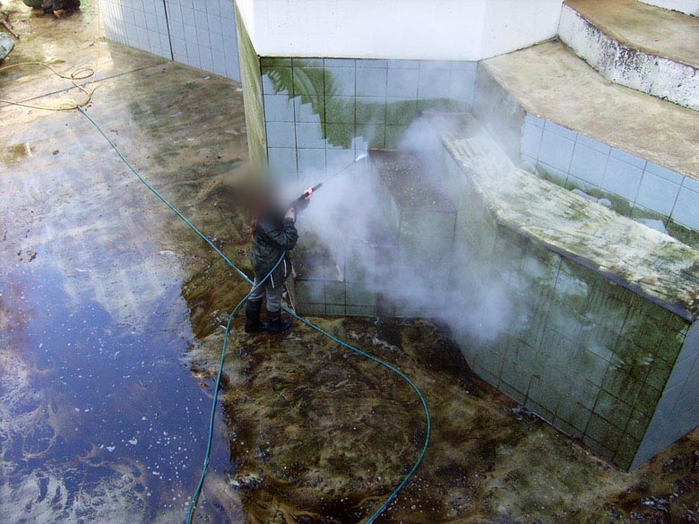 Reinigung der Eisbärenanlage im Wuppertaler Zoo am 3. März 2010