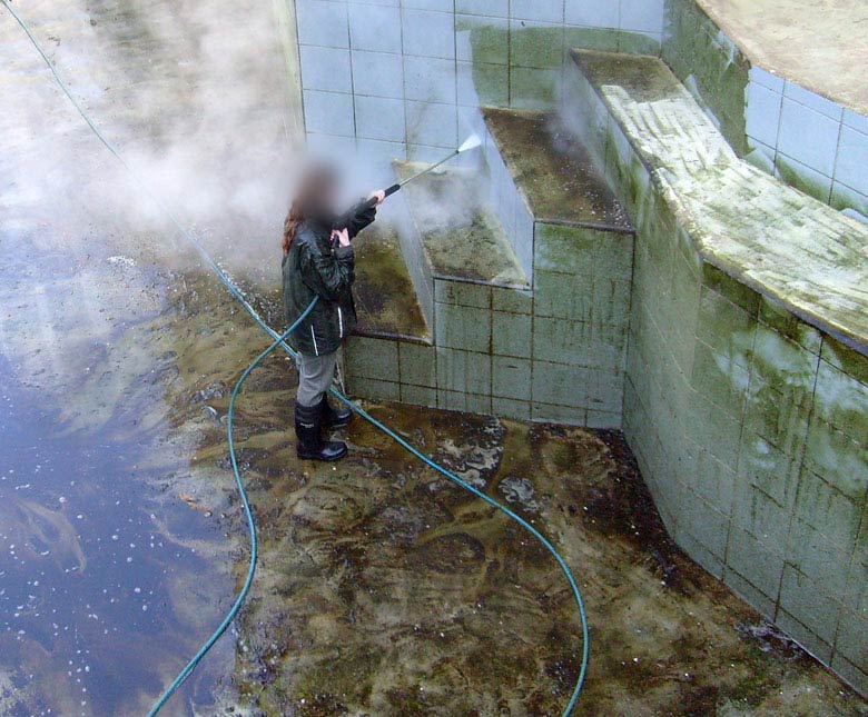 Reinigung der Eisbärenanlage im Zoo Wuppertal am 3. März 2010