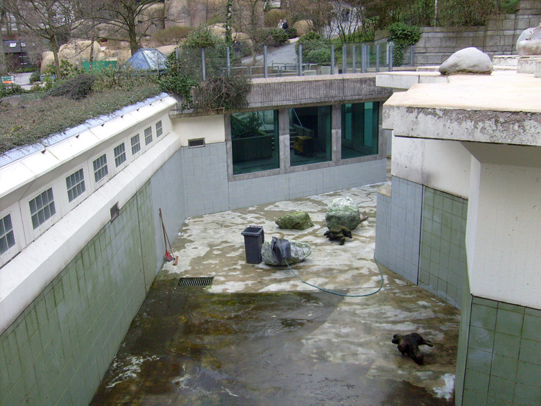 Reinigung der Eisbärenanlage im Zoologischen Garten Wuppertal am 31. März 2010