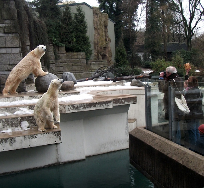 Tierpflegerin mit Brot für die Eisbären am 9. Januar 2011 im Wuppertaler Zoo