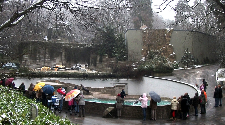 Eisbärin Vilma und Eisbär Lars am 22. Januar 2011 im Wuppertaler Zoo