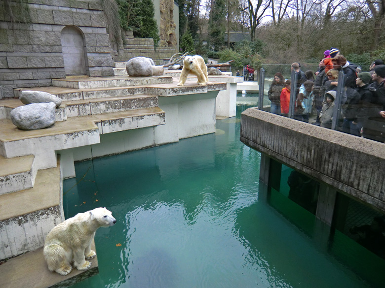 Eisbärin Vilma und Eisbär Lars am 6. Februar 2011 im Zoo Wuppertal