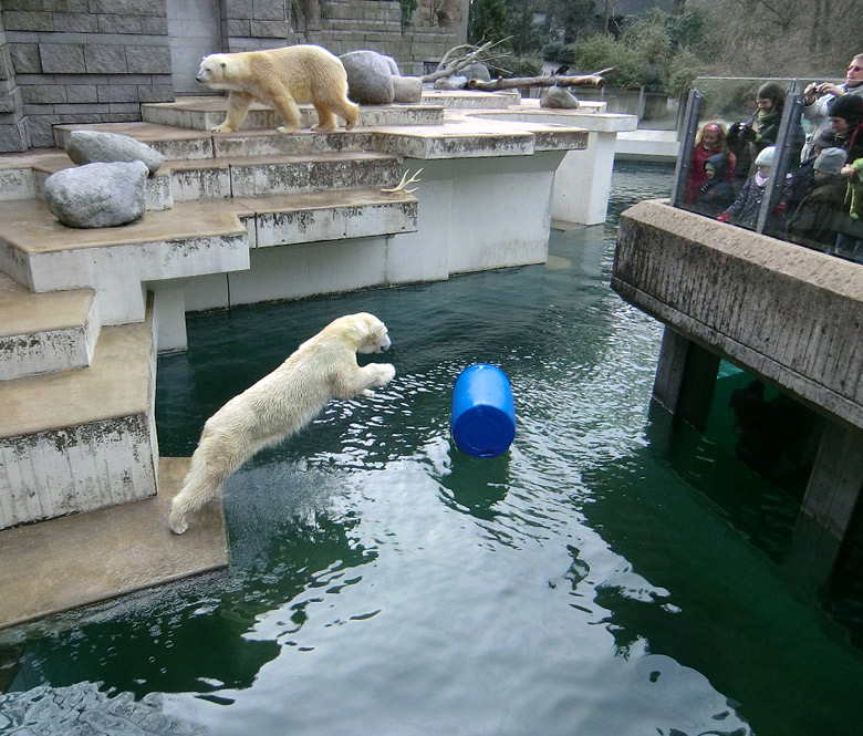 Eisbärin Vilma und Eisbär Lars am 20. Februar 2011 im Zoologischen Garten Wuppertal