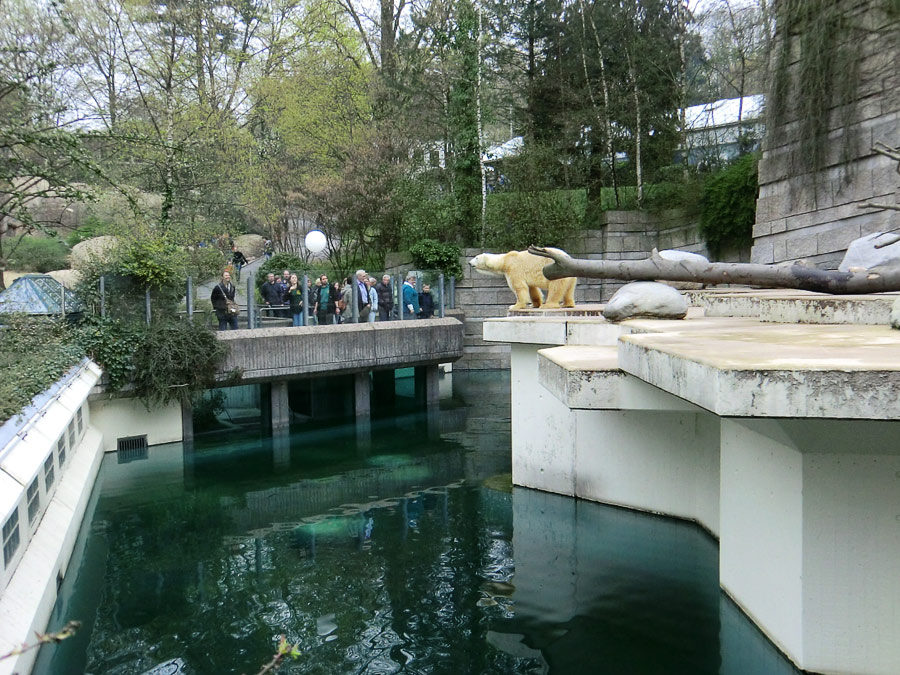 Eisbär Lars am 3. April 2011 im Zoo Wuppertal