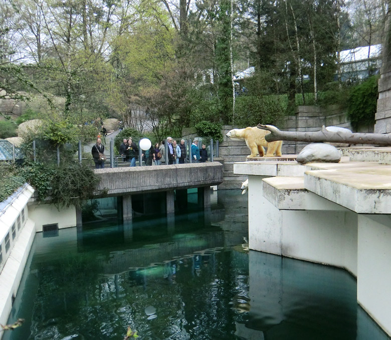 Eisbär Lars am 3. April 2011 im Zoologischen Garten Wuppertal