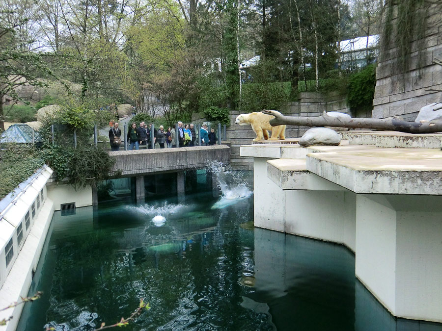 Eisbärin Vilma und Eisbär Lars am 3. April 2011 im Zoo Wuppertal