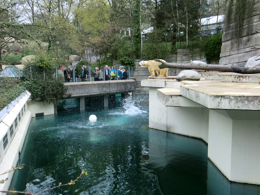 Eisbärin Vilma und Eisbär Lars am 3. April 2011 im Zoo Wuppertal