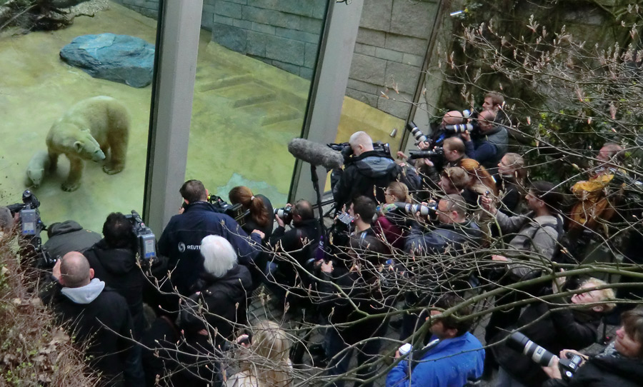 Eisbärin VILMA mit Eisbärbaby ANORI am 29. März 2012 im Wuppertaler Zoo