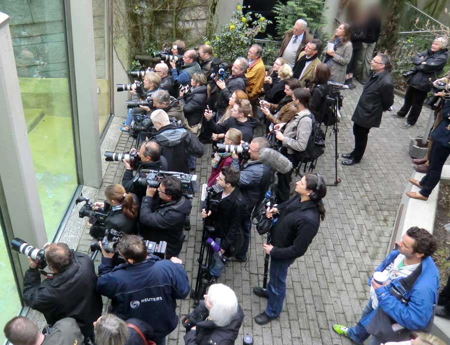 Fernsehkameras und Teleobjektive am 29. März 2012 im Zoologischen Garten Wuppertal