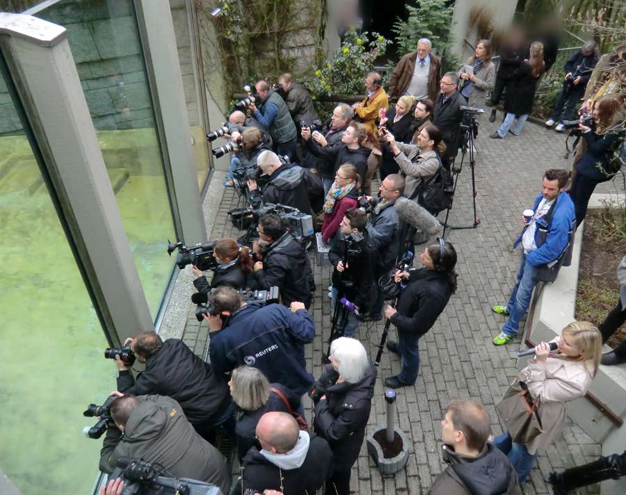 Fernsehkameras und Teleobjektive am 29. März 2012 im Wuppertaler Zoo