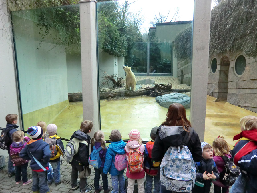 Eisbärin VILMA am 29. März 2012 im Zoo Wuppertal