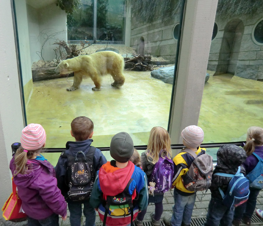 Eisbärin VILMA am 29. März 2012 im Zoologischen Garten Wuppertal