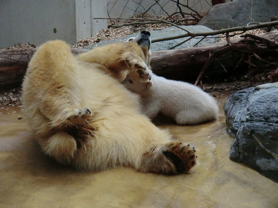 Eisbärin VILMA mit Eisbärchen ANORI am 7. April 2012 im Zoologischen Garten Wuppertal