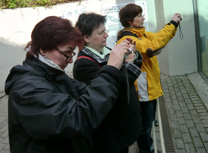 Besucherinnen bei Eisbärbaby ANORI am 20. April 2012 im Wuppertaler Zoo