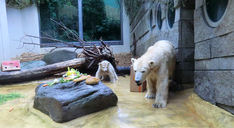 Eisbärbaby ANORI und Eisbärin VILMA am 20. Mai 2012 im Zoo Wuppertal