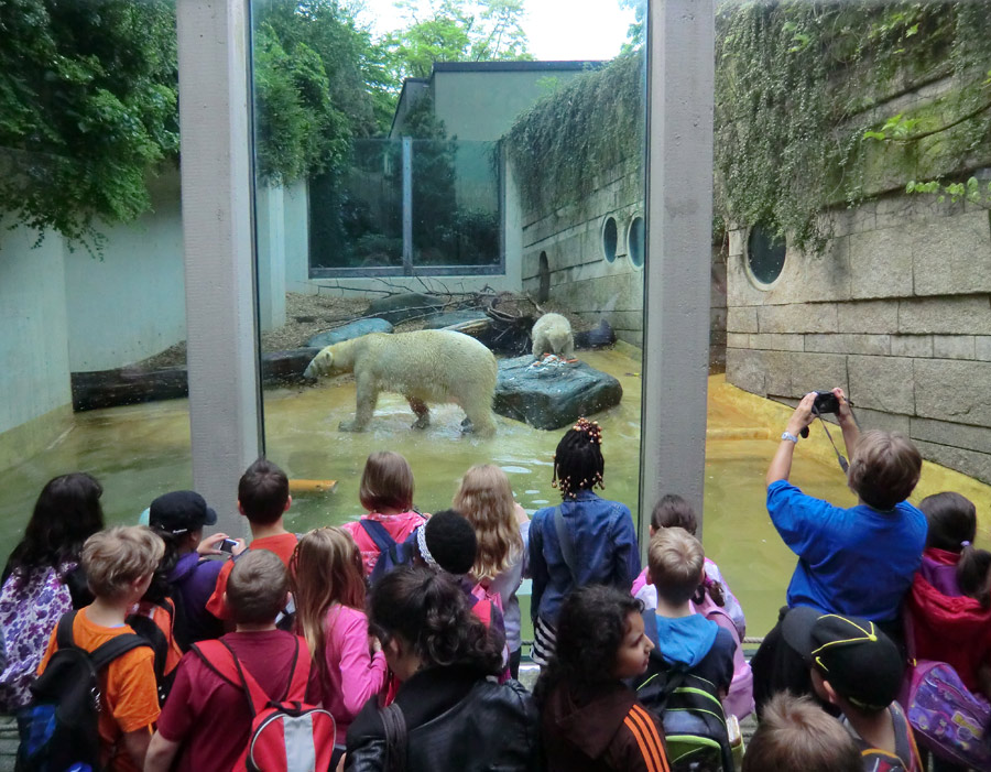 Eisbärin VILMA und Eisbärbaby ANORI am 21. Mai 2012 im Zoologischen Garten Wuppertal