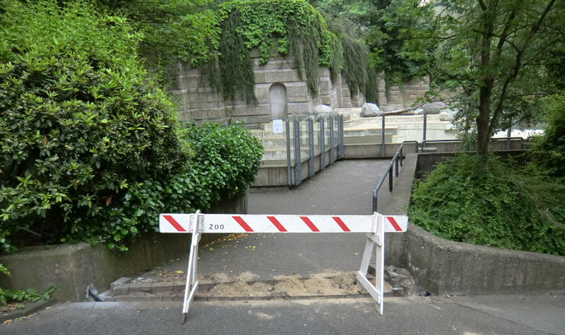 Bauarbeiten für die Überwachungskamera am 31. Mai 2012 an der Eisbärenanlage im Zoologischen Garten Wuppertal