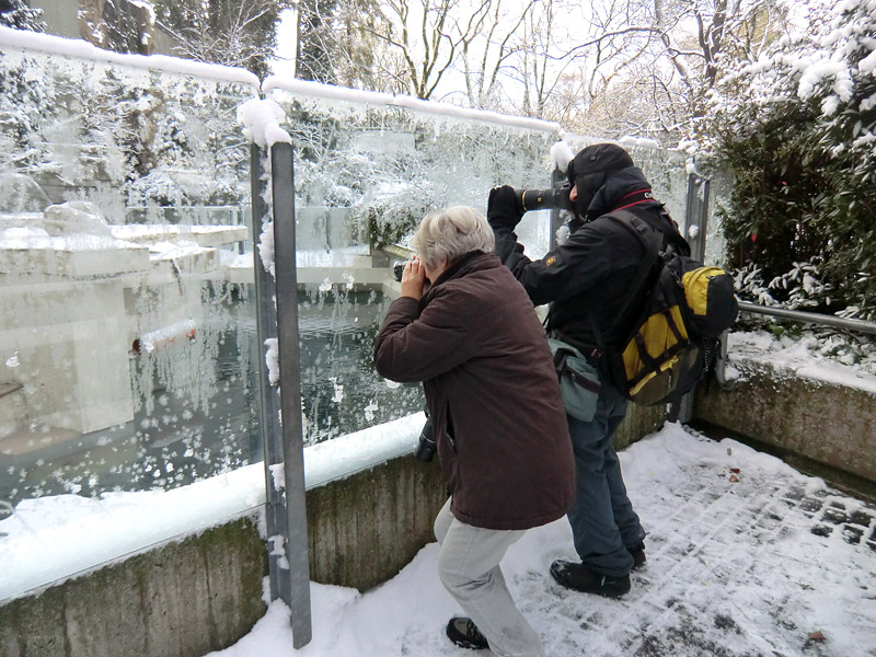 Eisbärenanlage am 8. Dezember 2012 im Zoologischen Garten Wuppertal