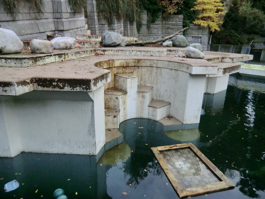 Große Freianlage für Eisbären im Zoologischen Garten Wuppertal am 21. Oktober 2013